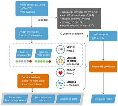 Improving predictive performance in incident heart failure using machine learning and multi-center data